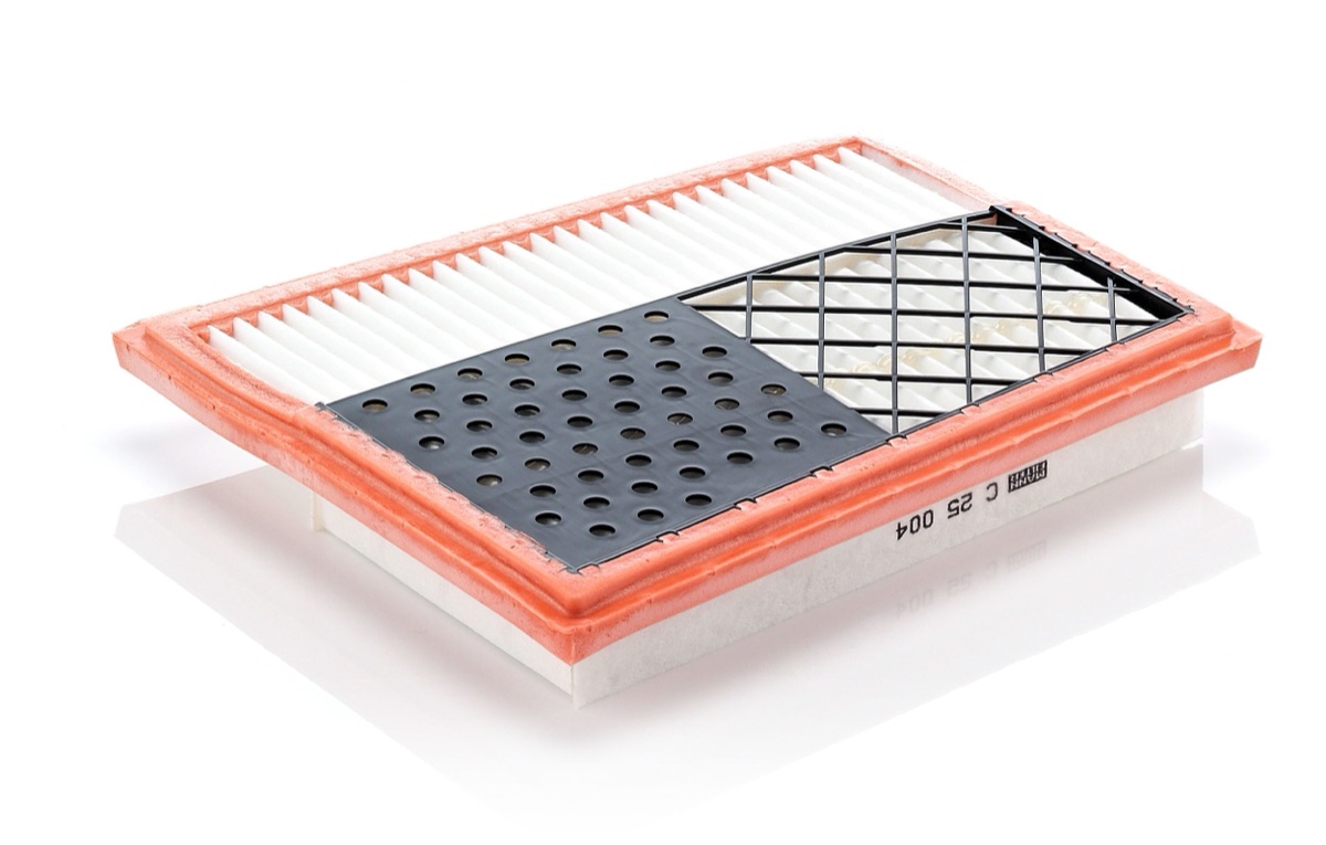 Mann-Filter C 25 004 Air Filter