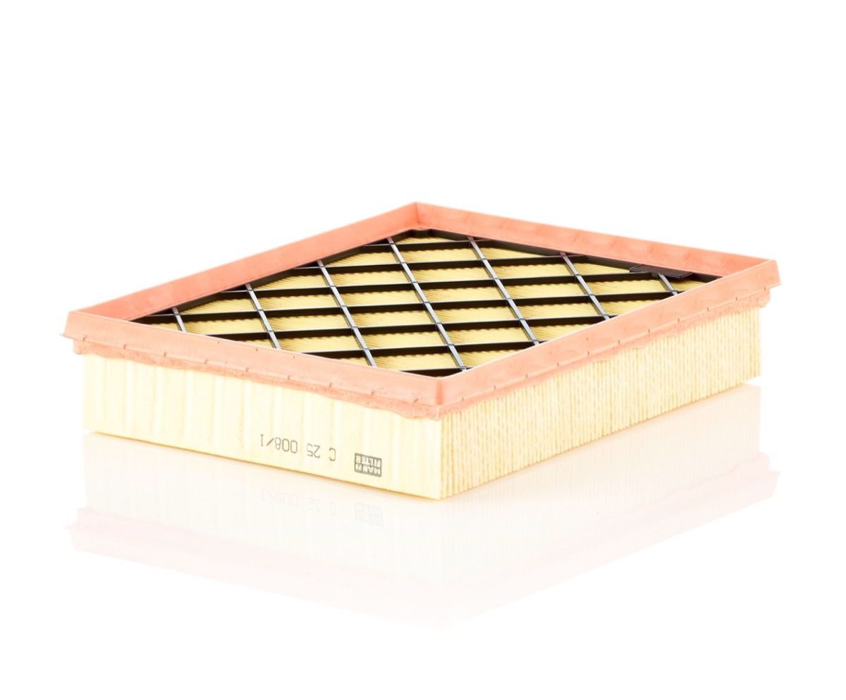 Mann-Filter C 25 008/1 Air Filter