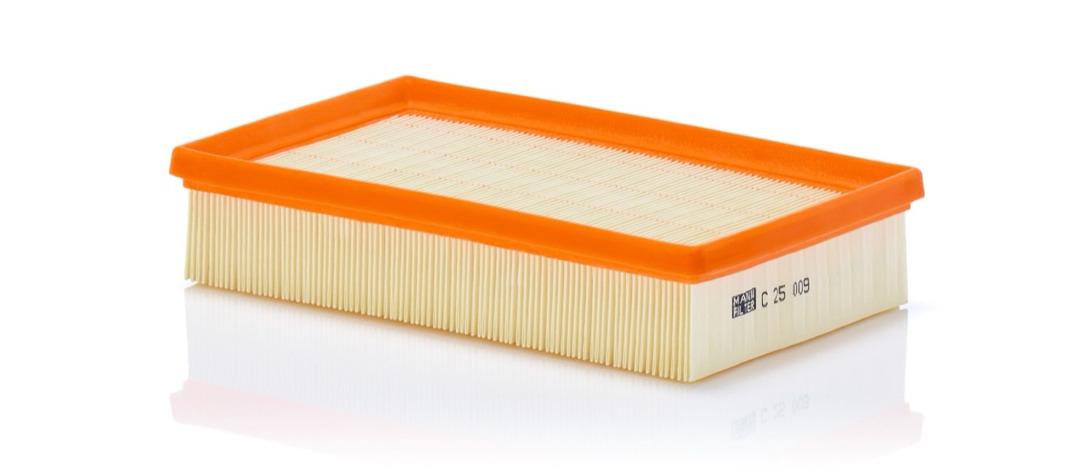 Mann-Filter C 25 009 Air Filter
