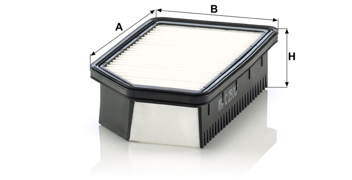 Mann-Filter C 25 013 Air Filter