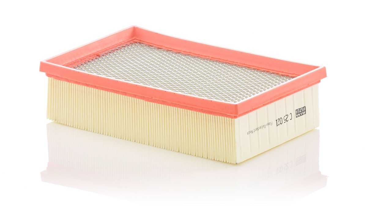Mann-Filter C 25 021 Air Filter