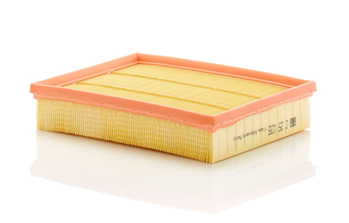 Mann-Filter C 25 035 Air Filter