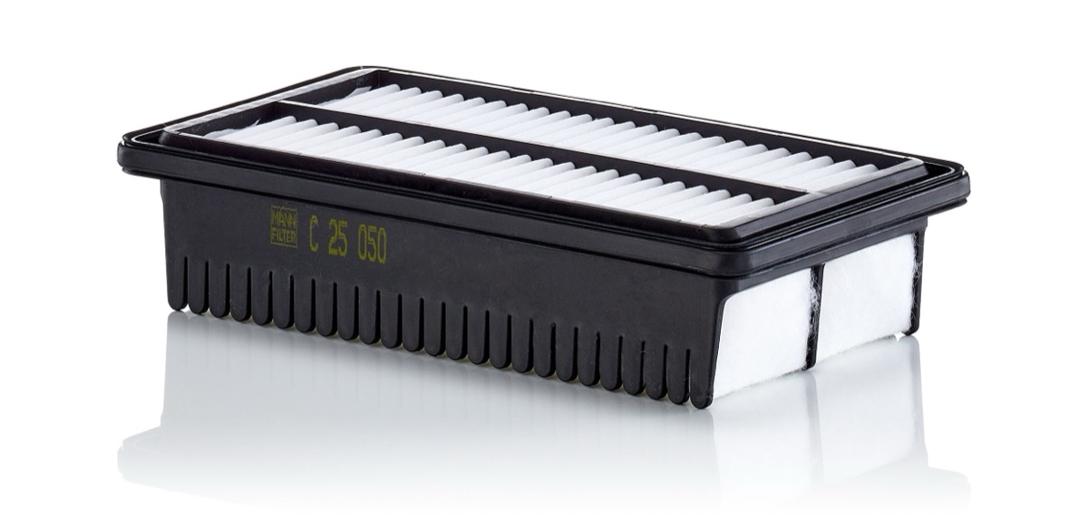 Mann-Filter C 25 050 Air Filter