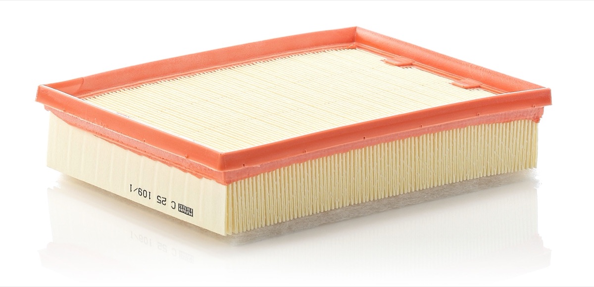 Mann-Filter C 25 109/1 Air Filter