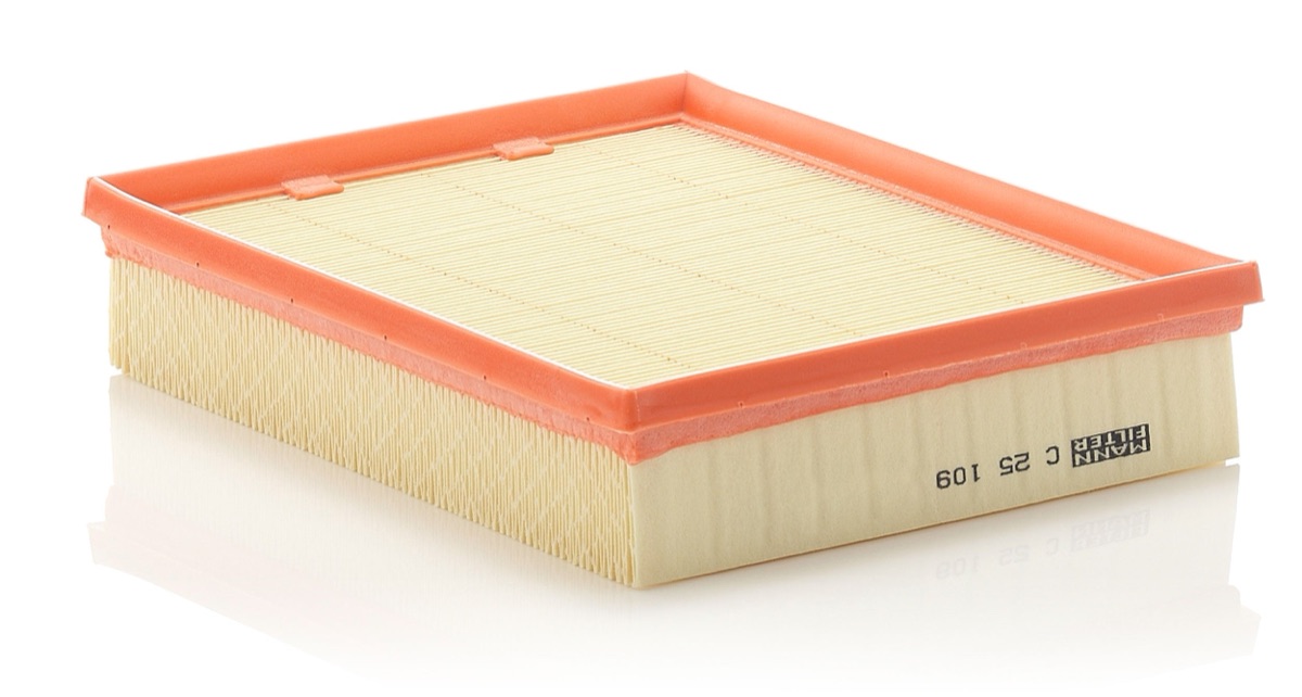 Mann-Filter C 25 109 Air Filter