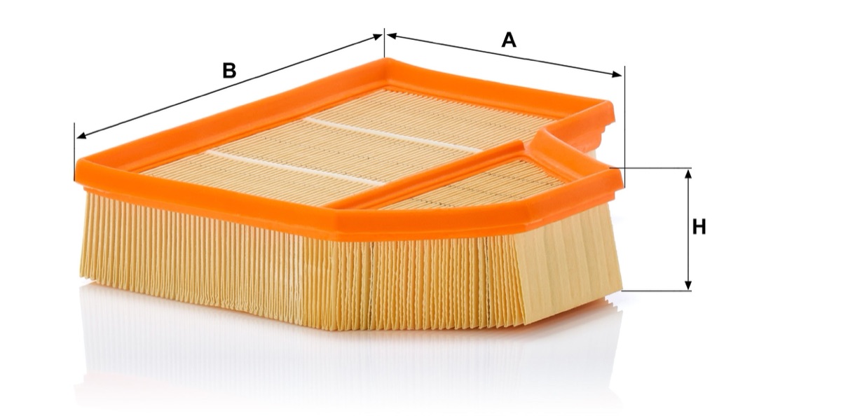 Mann-Filter C 25 111 Air Filter