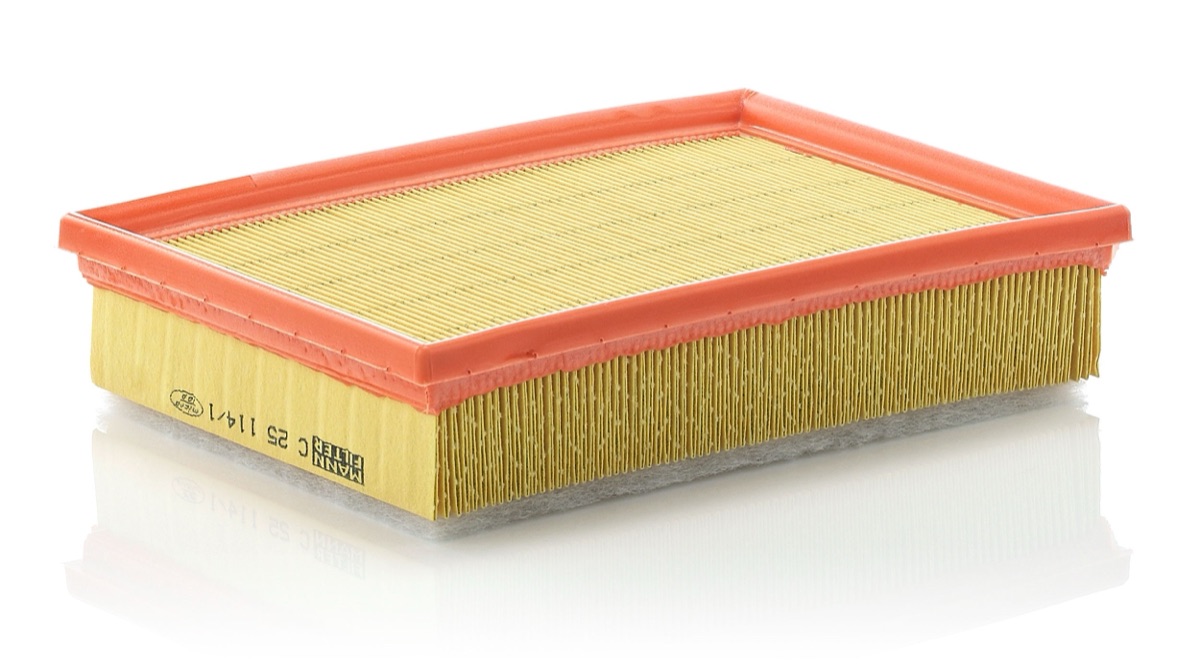 Mann-Filter C 25 114/1 Air Filter