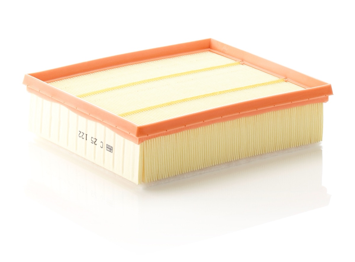 Mann-Filter C 25 122 Air Filter