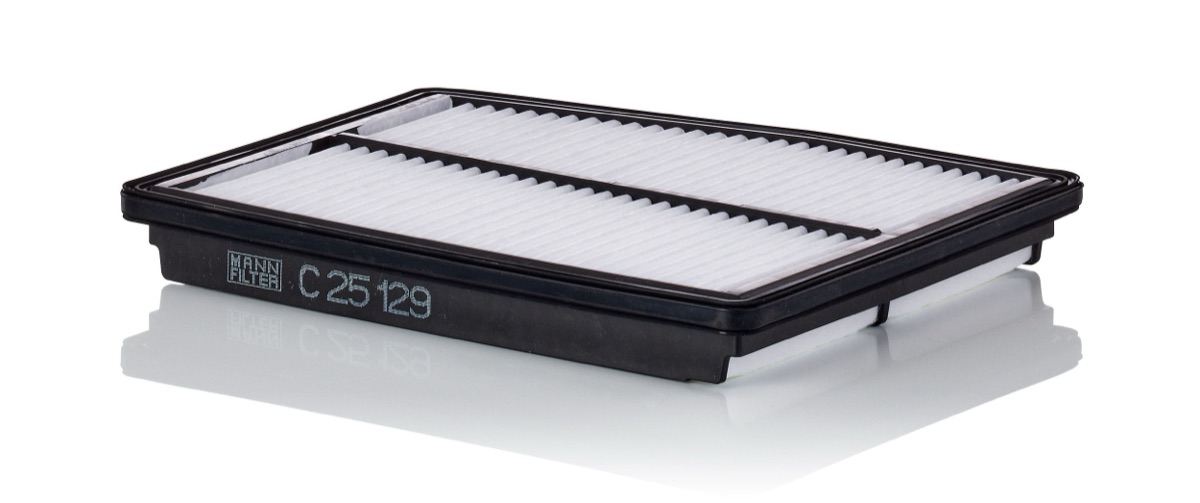 Mann-Filter C 25 129 Air Filter