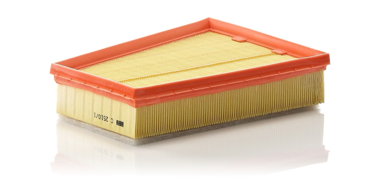 Mann-Filter C 2510/1 Air Filter