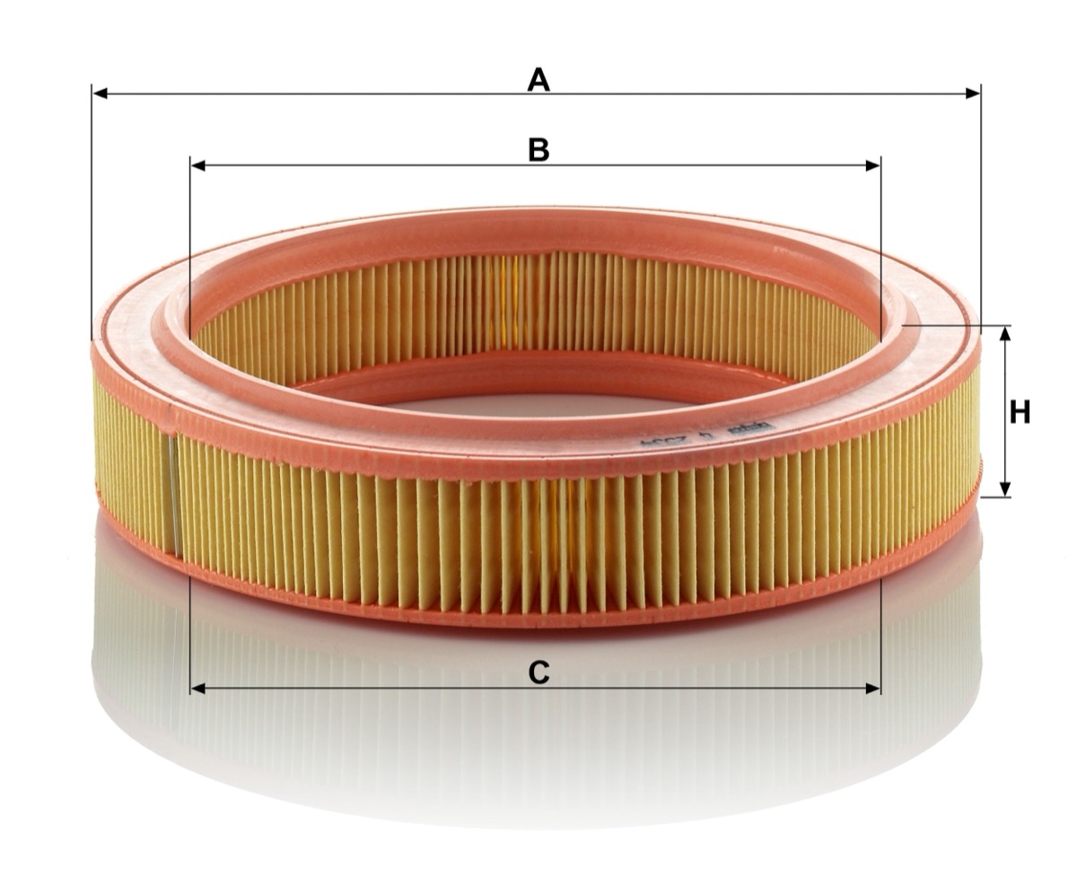 Mann-Filter C 2534 Air Filter