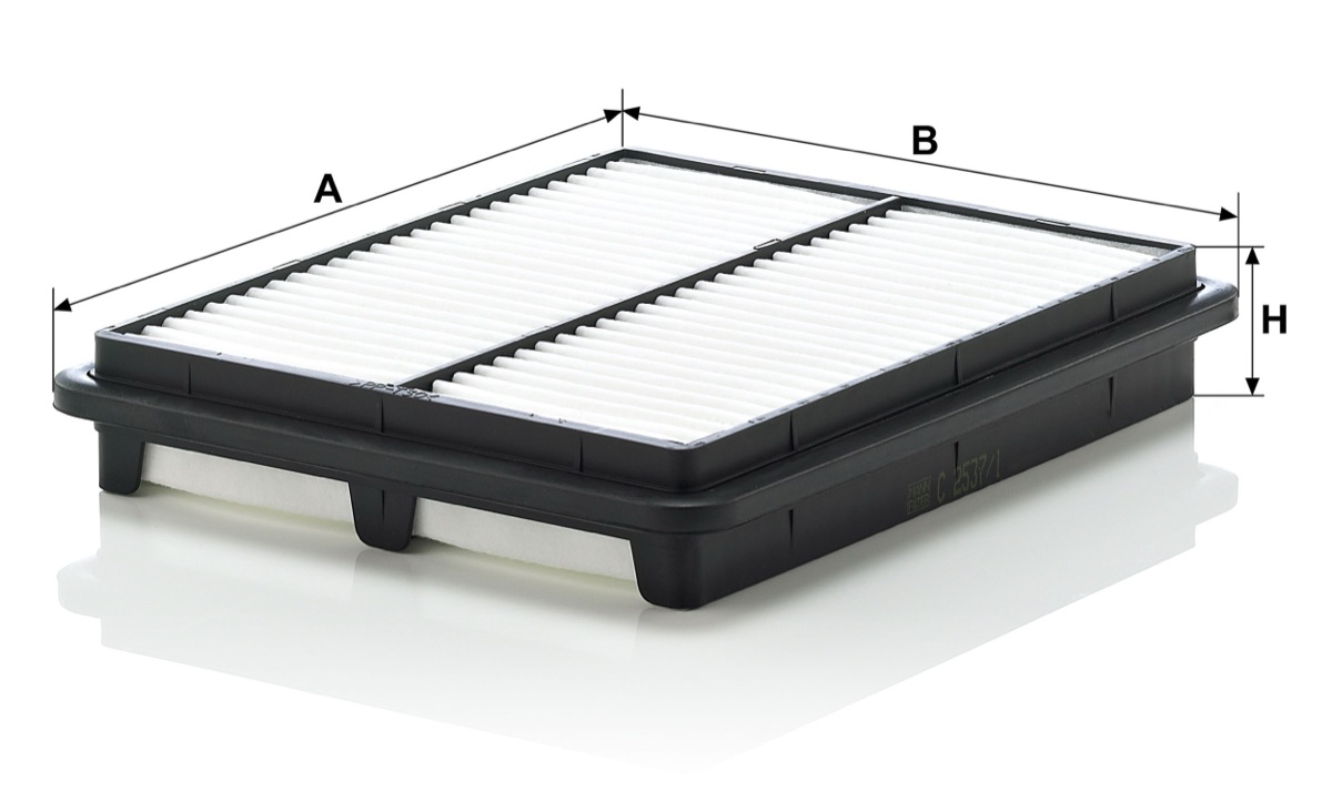 Mann-Filter C 2537/1 Air Filter