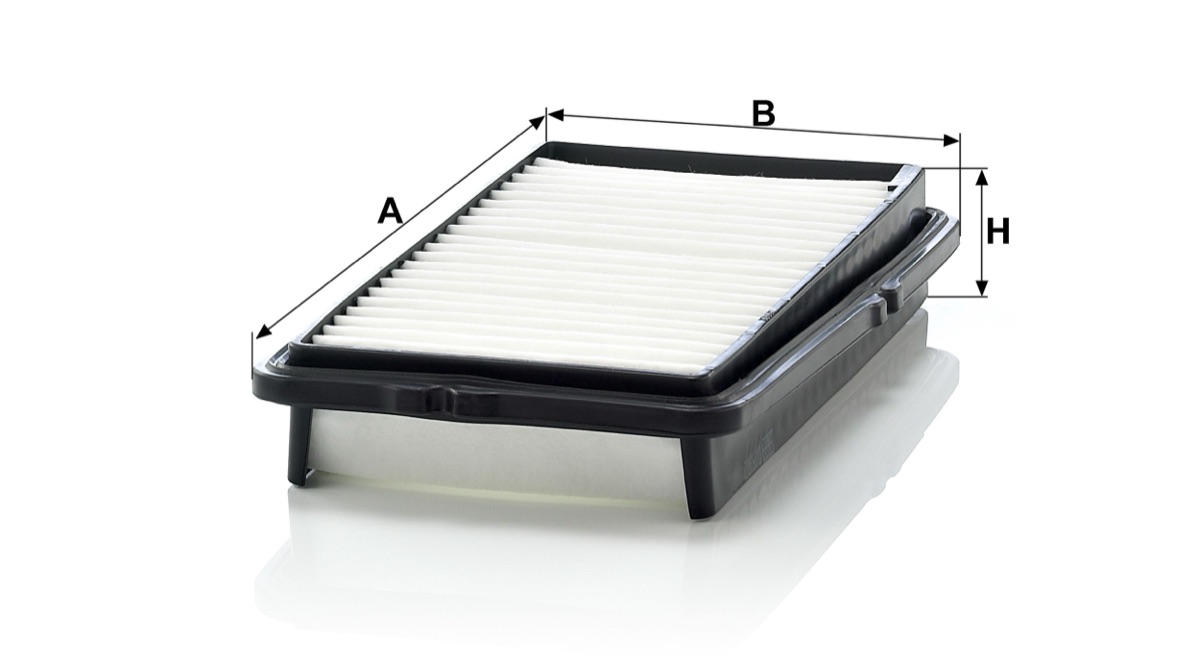Mann-Filter C 2537/2 Air Filter