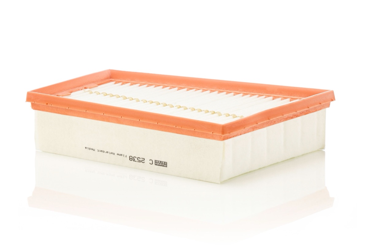 Mann-Filter C 2538 Air Filter