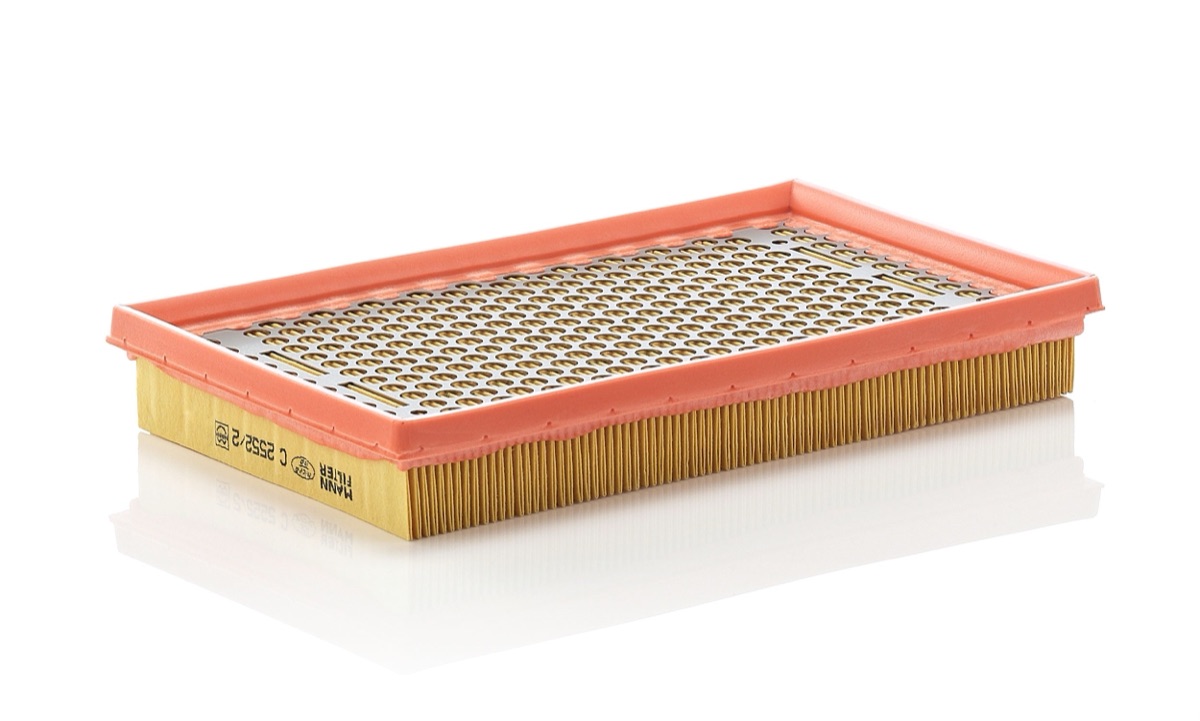 Mann-Filter C 2552/2 Air Filter