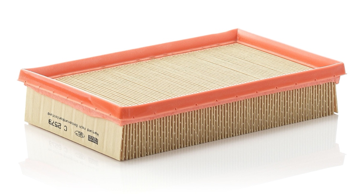 Mann-Filter C 2579 Air Filter