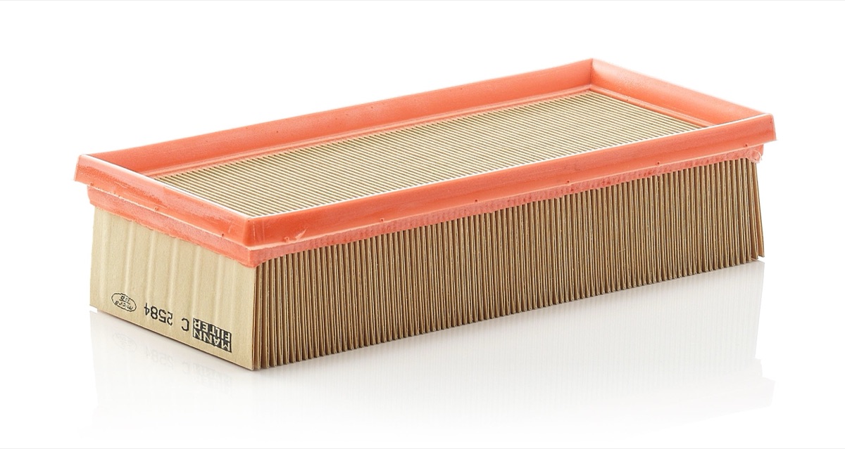 Mann-Filter C 2584 Air Filter