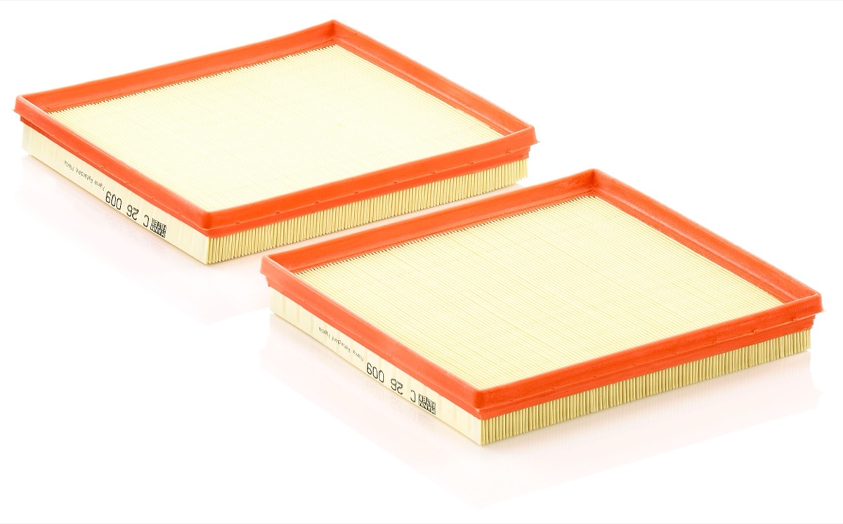 Mann-Filter C 26 009-2 Air Filter