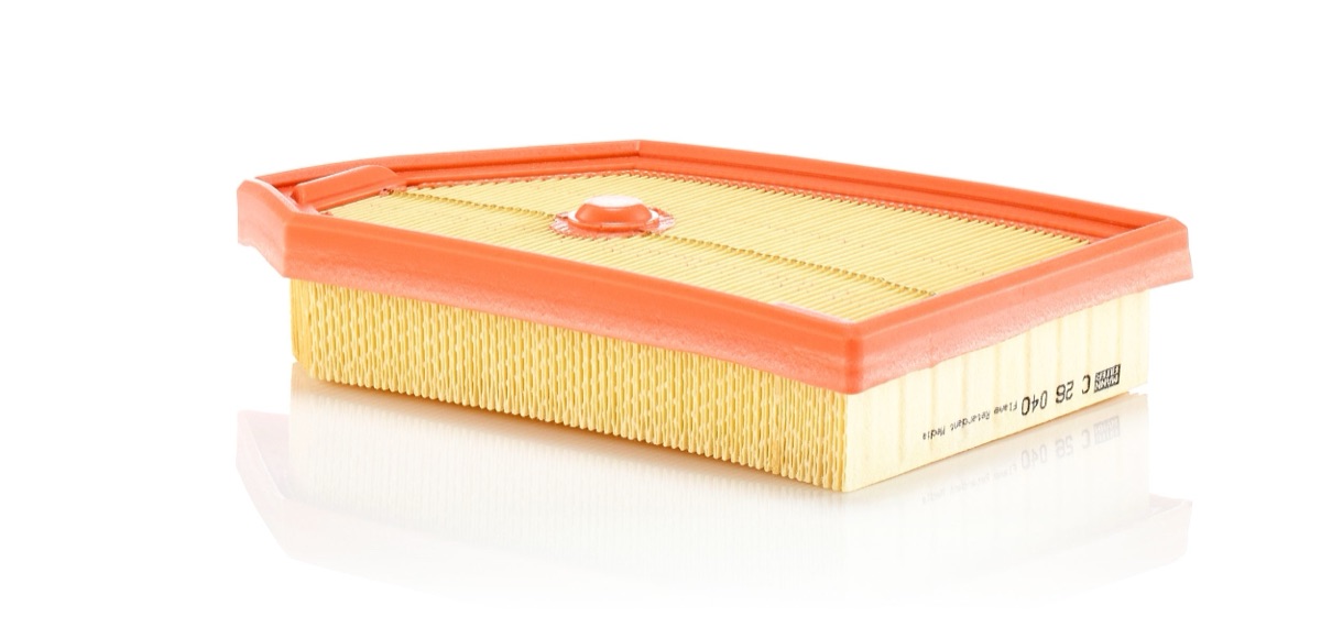 Mann-Filter C 26 040 Air Filter