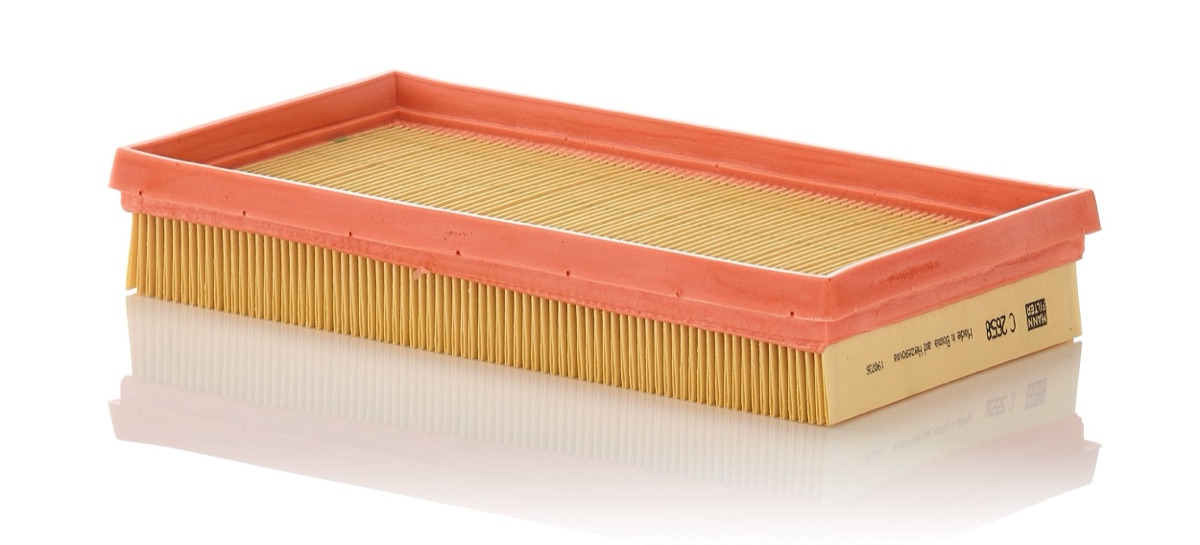 Mann-Filter C 2658 Air Filter