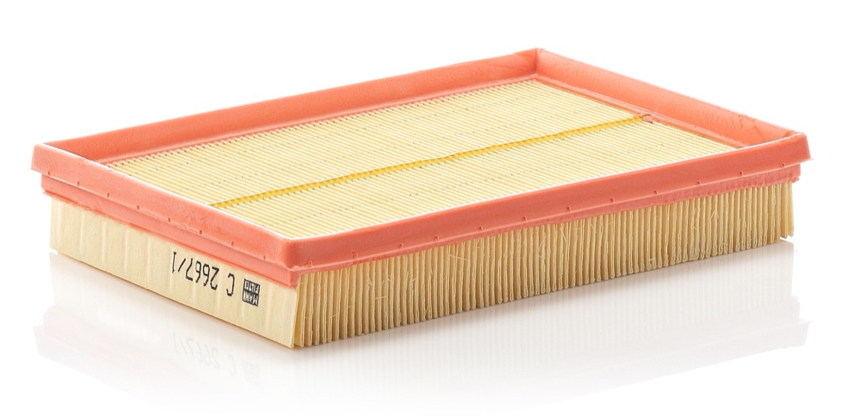 Mann-Filter C 2667/1 Air Filter