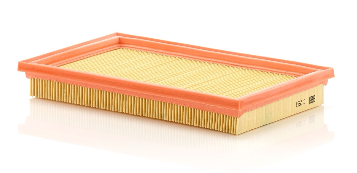 Mann-Filter C 2851 Air Filter