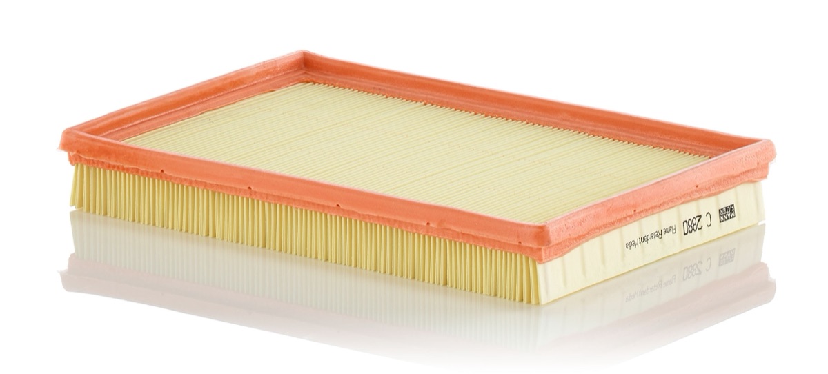 Mann-Filter C 2880 Air Filter