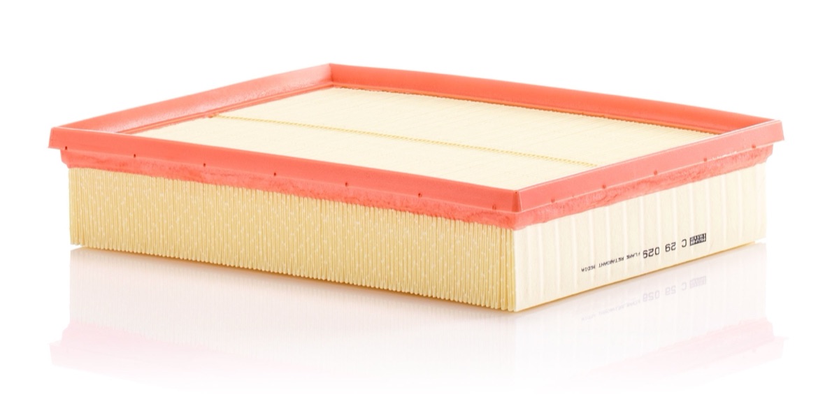 Mann-Filter C 29 029 Air Filter
