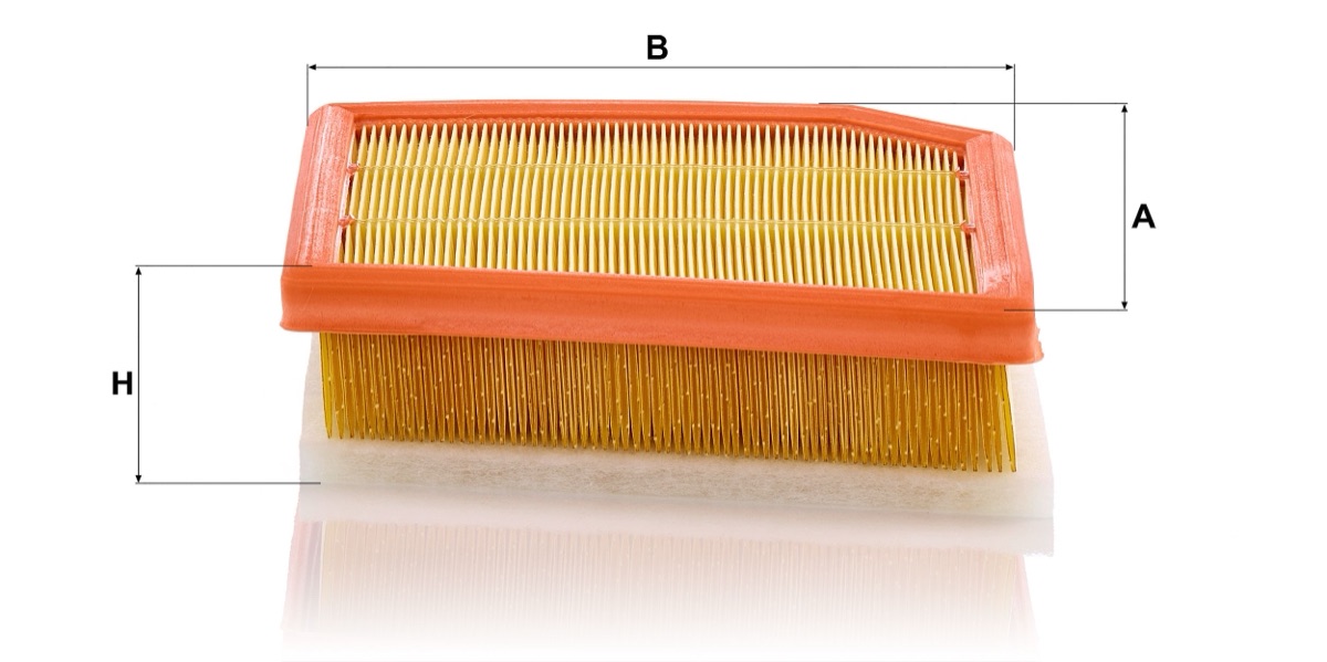 Mann-Filter C 29 030 Air Filter