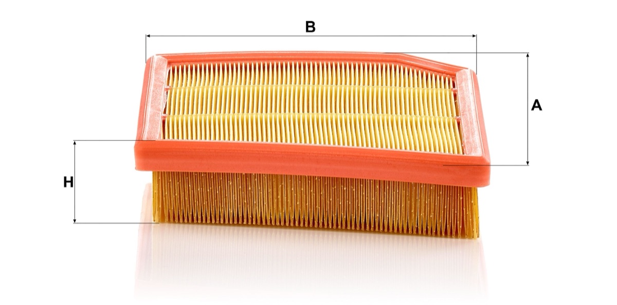 Mann-Filter C 29 031 Air Filter