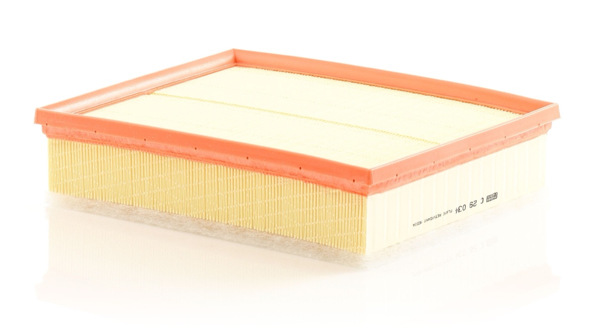 Mann-Filter C 29 034 Air Filter