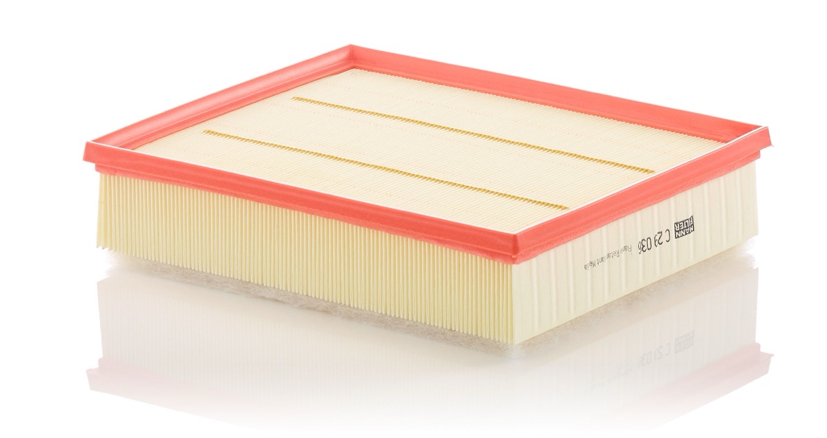 Mann-Filter C 29 036 Air Filter