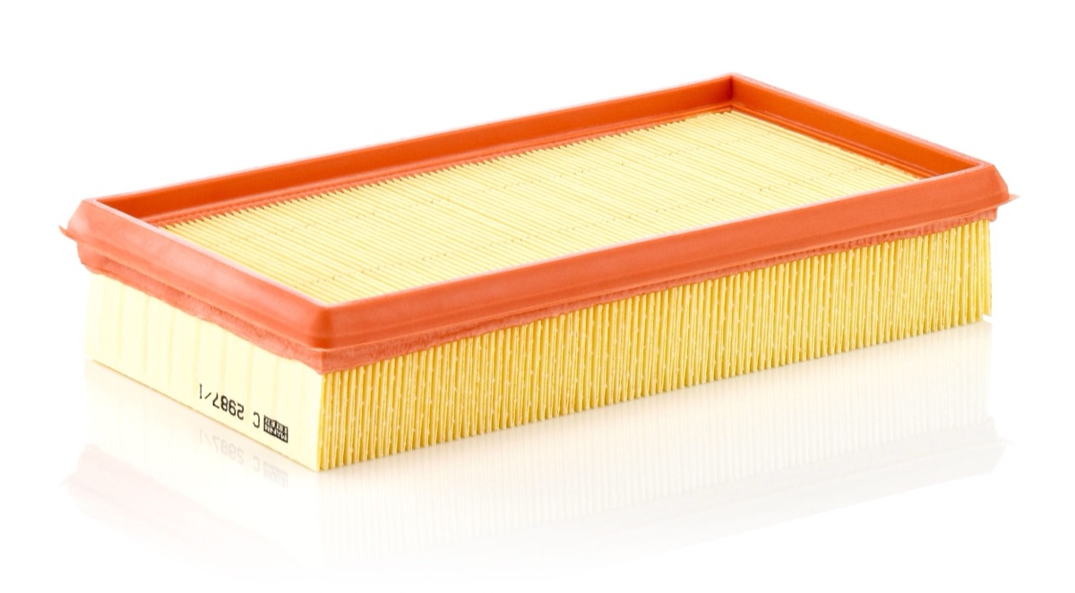 Mann-Filter C 2987/1 Air Filter