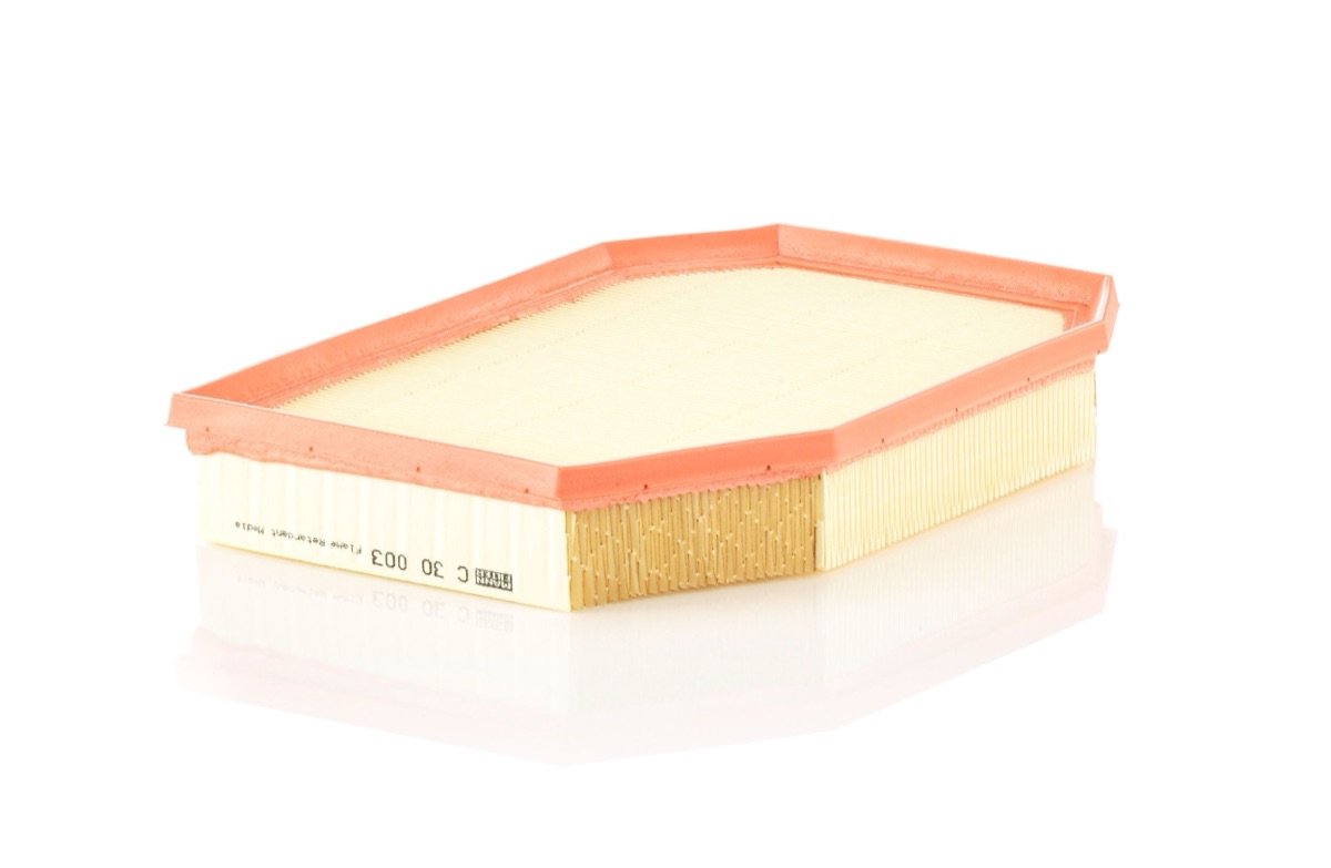 Mann-Filter C 30 003 Air Filter