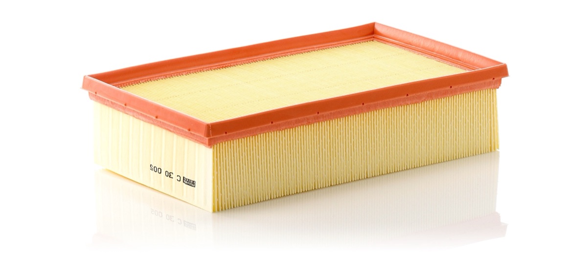 Mann-Filter C 30 005 Air Filter