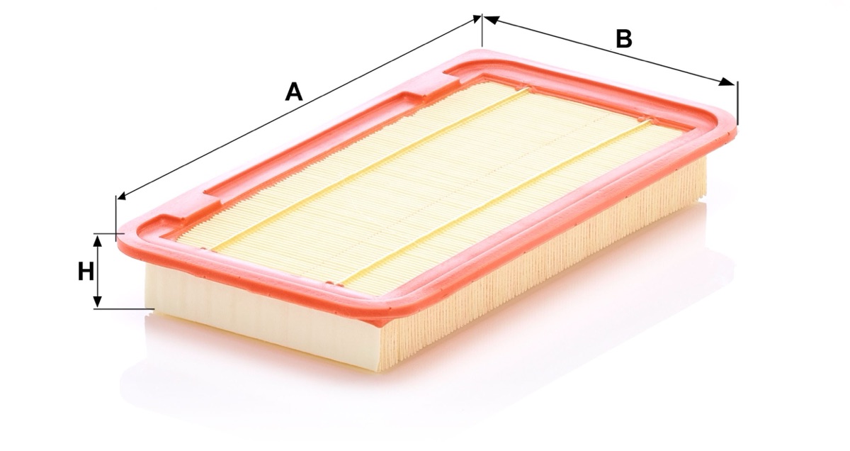 Mann-Filter C 30 020 Air Filter
