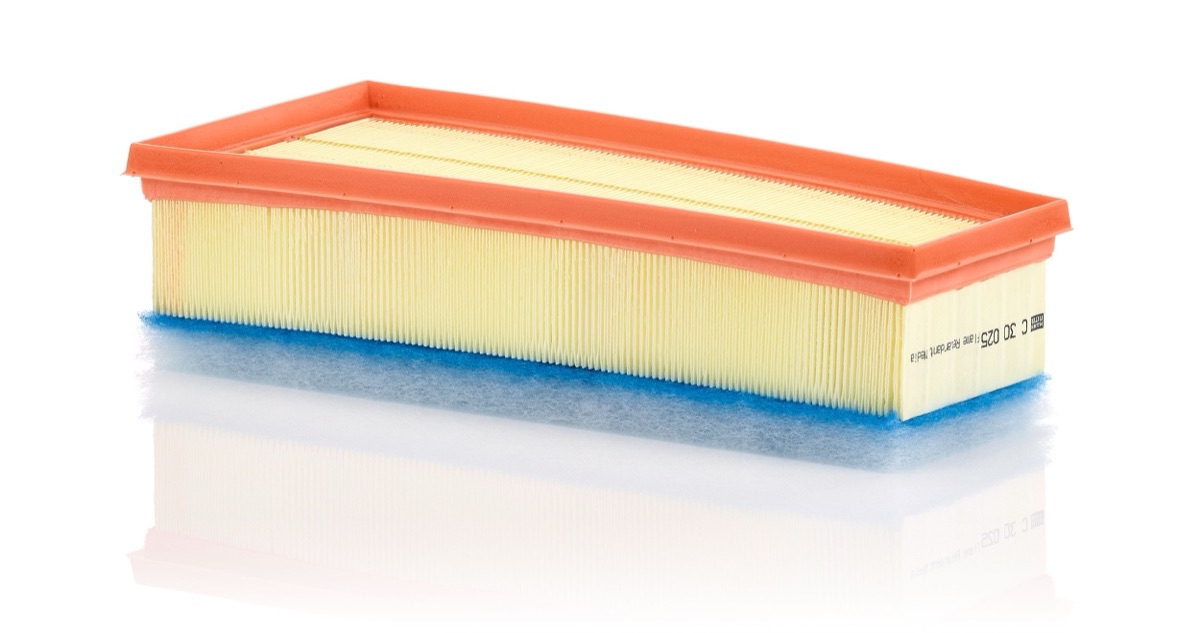Mann-Filter C 30 025 Air Filter