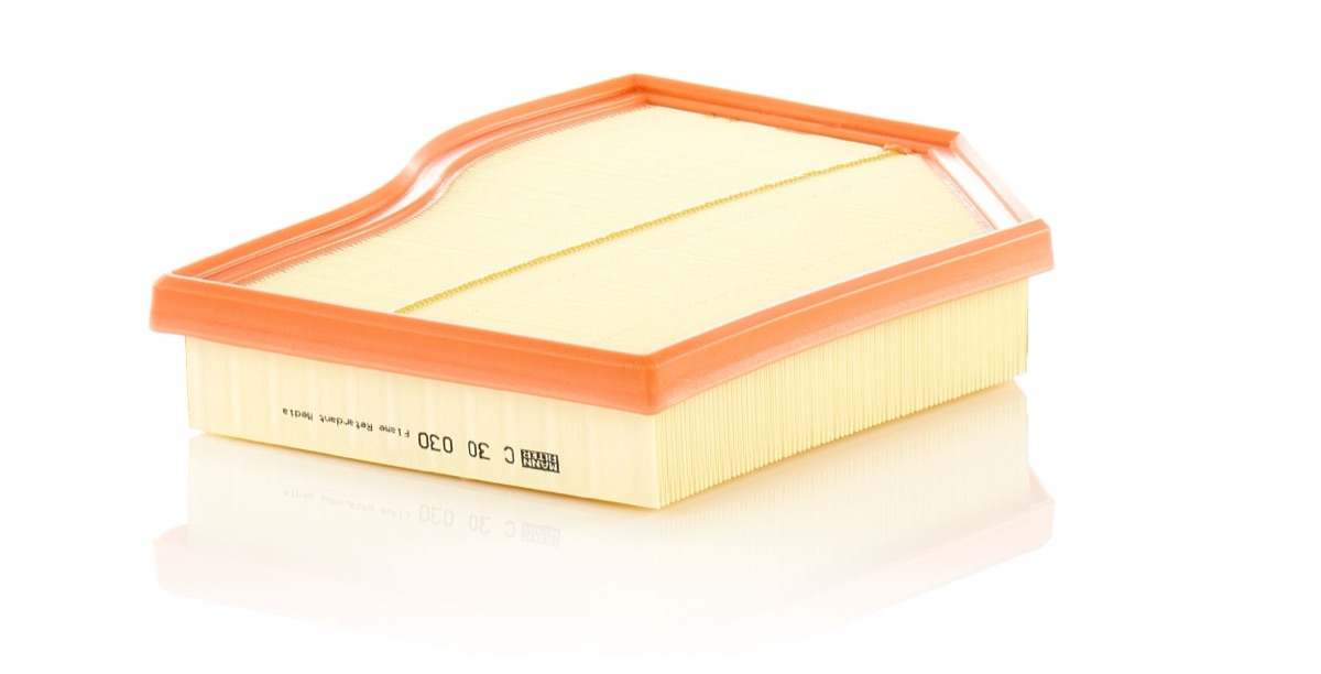 Mann-Filter C 30 030 Air Filter