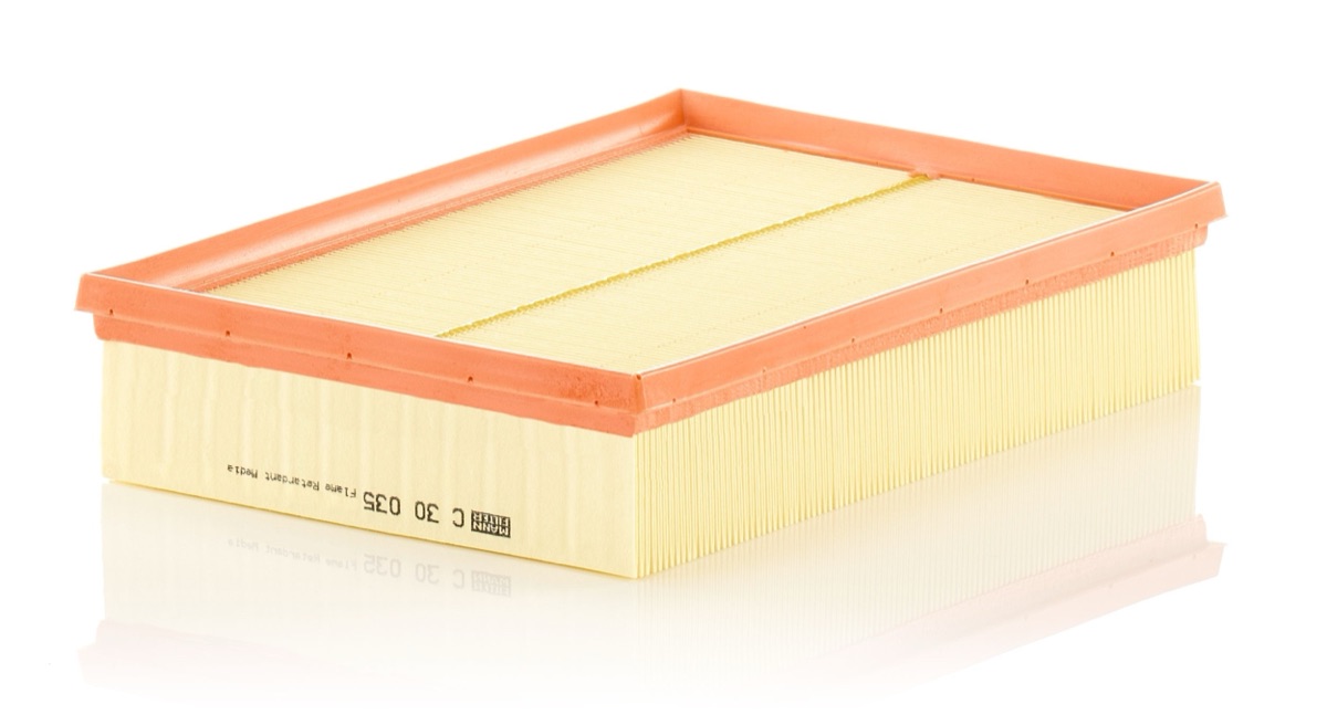 Mann-Filter C 30 035 Air Filter
