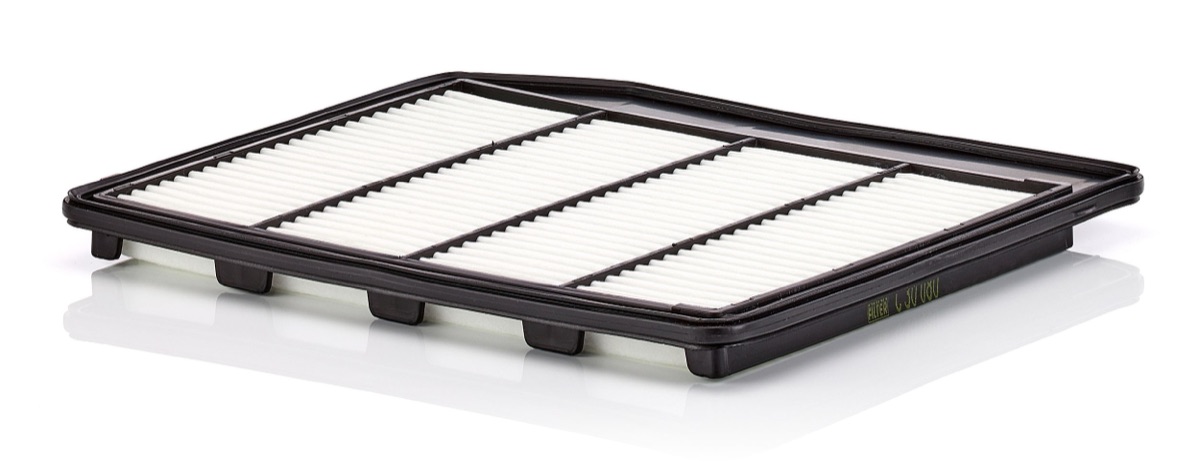 Mann-Filter C 30 080 Air Filter