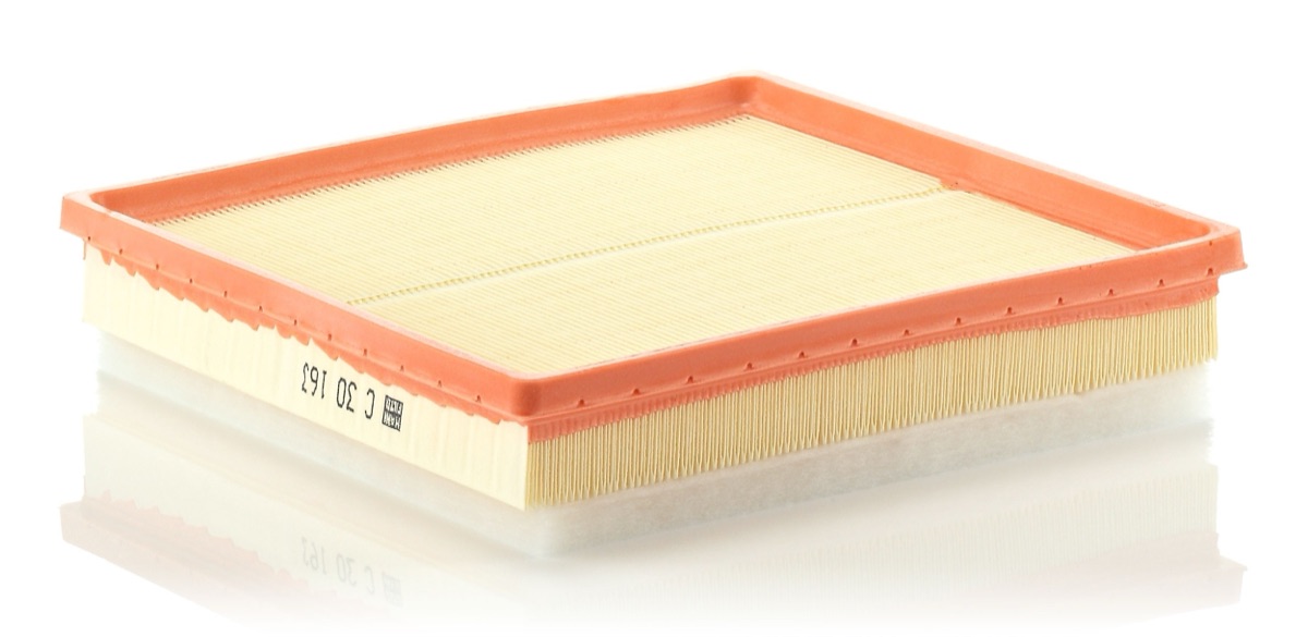 Mann-Filter C 30 163 Air Filter