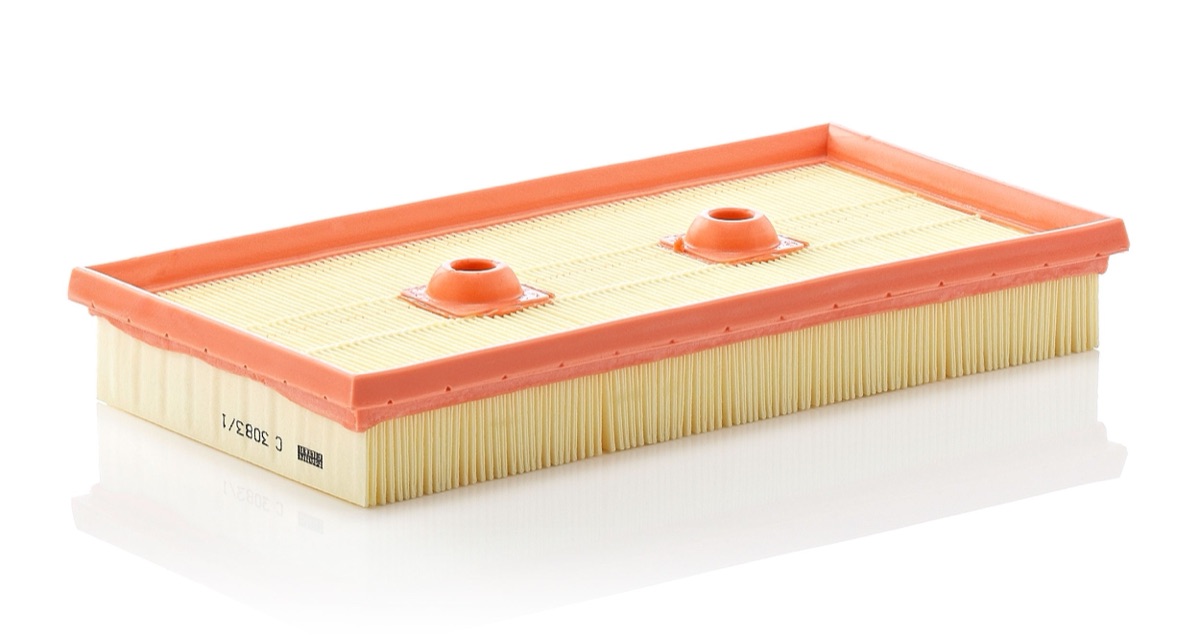 Mann-Filter C 3083/1 Air Filter