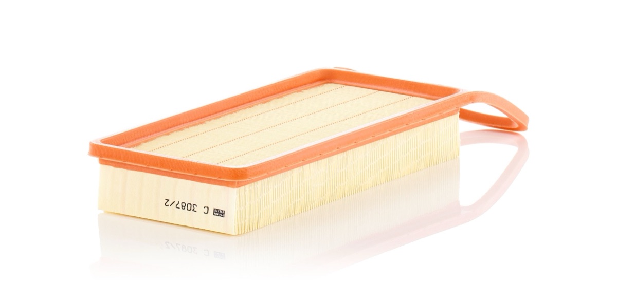 Mann-Filter C 3087/2 Air Filter