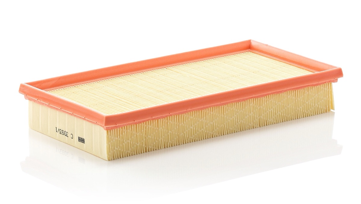 Mann-Filter C 3093/1 Air Filter