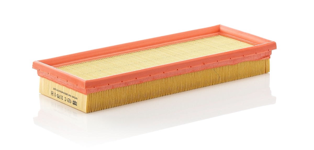 Mann-Filter C 3170/1-2 Air Filter