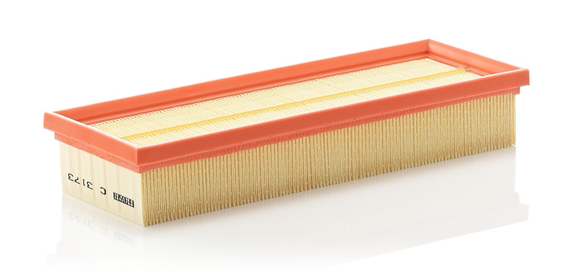 Mann-Filter C 3173 Air Filter