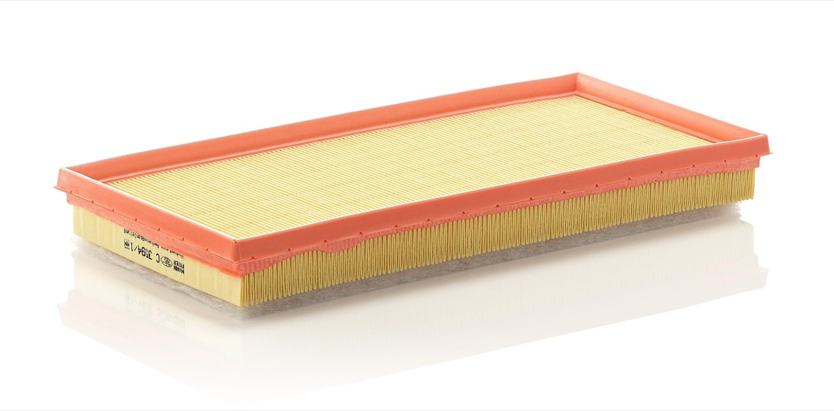 Mann-Filter C 3594/1 Air Filter