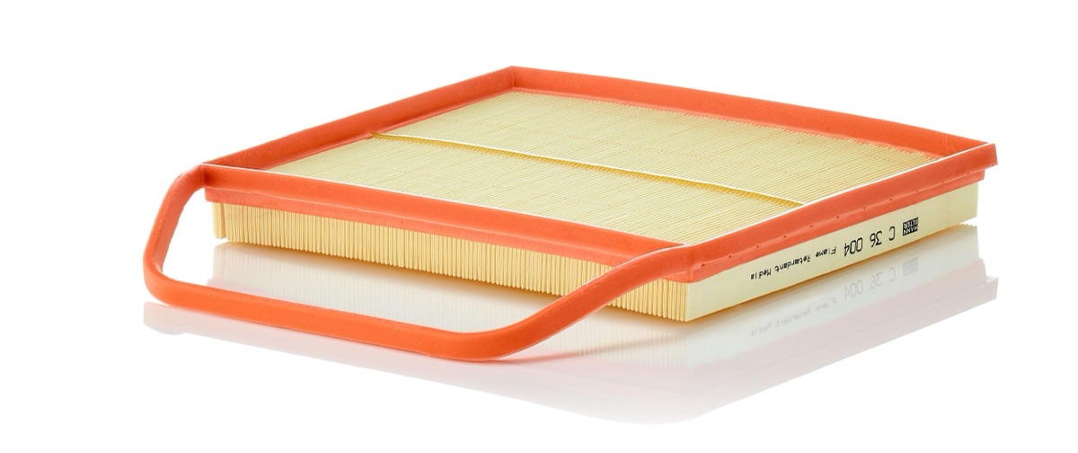 Mann-Filter C 36 004 Air Filter