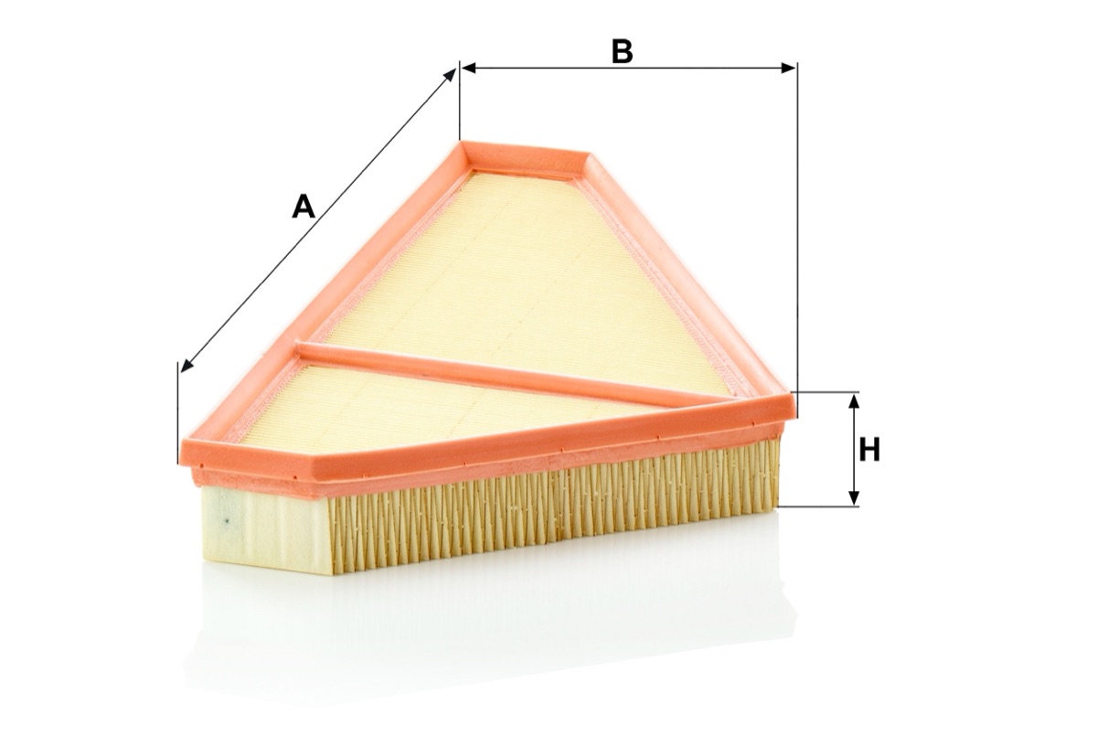 Mann-Filter C 36 009 Air Filter