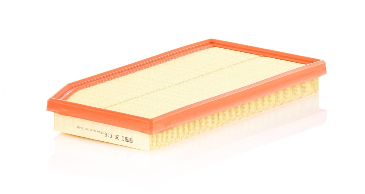 Mann-Filter C 36 016 Air Filter